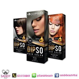 Dipso Hair Color Cream 110g. ครีมเปลี่ยนสีผมดิ๊พโซ่